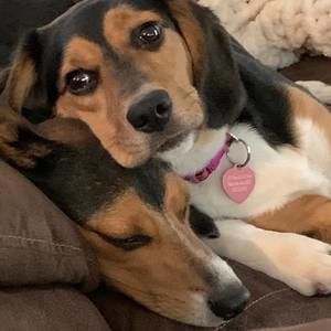 Meet your Posher, Karen